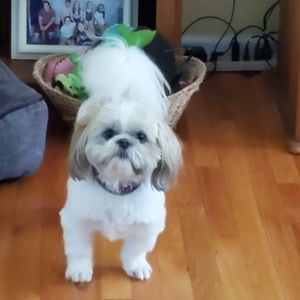 Meet your Posher, Linda